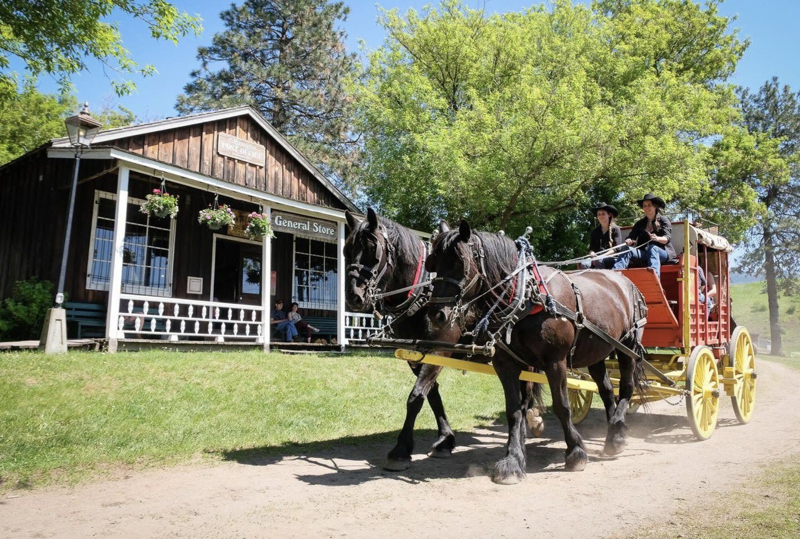 Cathy's team pulling the historic O'Keefe Ranch stagecoach