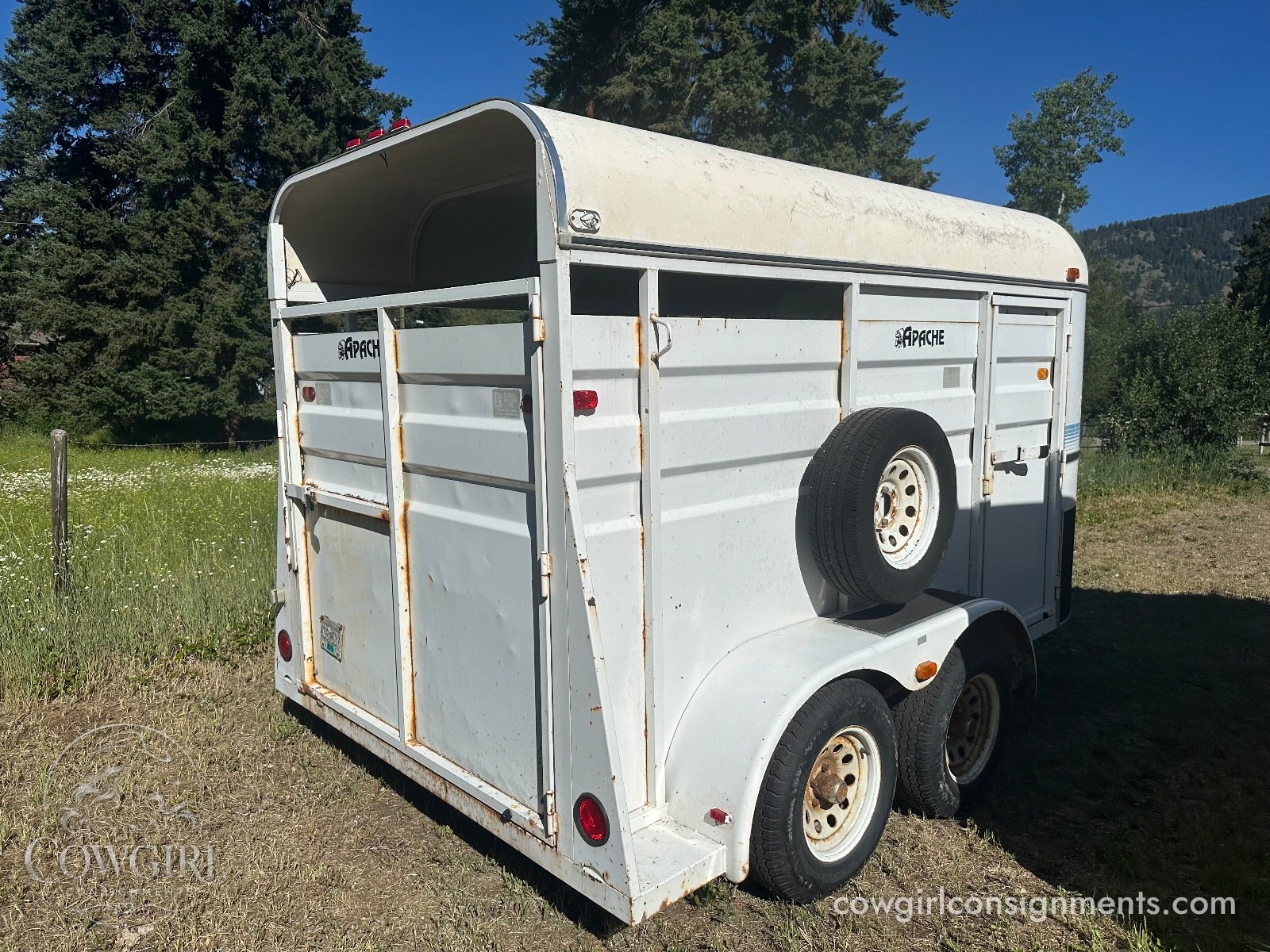 Apache 2-Horse Bumper Pull Trailer, photo 5