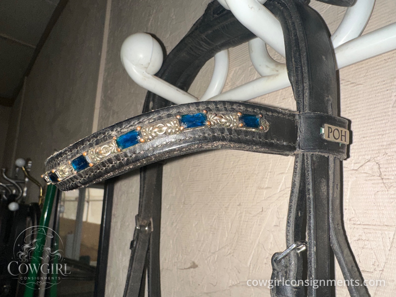 Beautiful Passier Double Bridle With Bits, Reins And Jeweled Browband, photo 5
