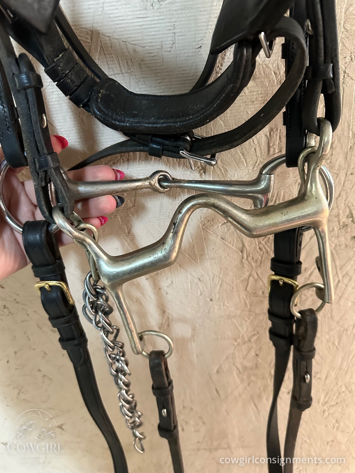 Beautiful Passier Double Bridle With Bits, Reins And Jeweled Browband, photo 7