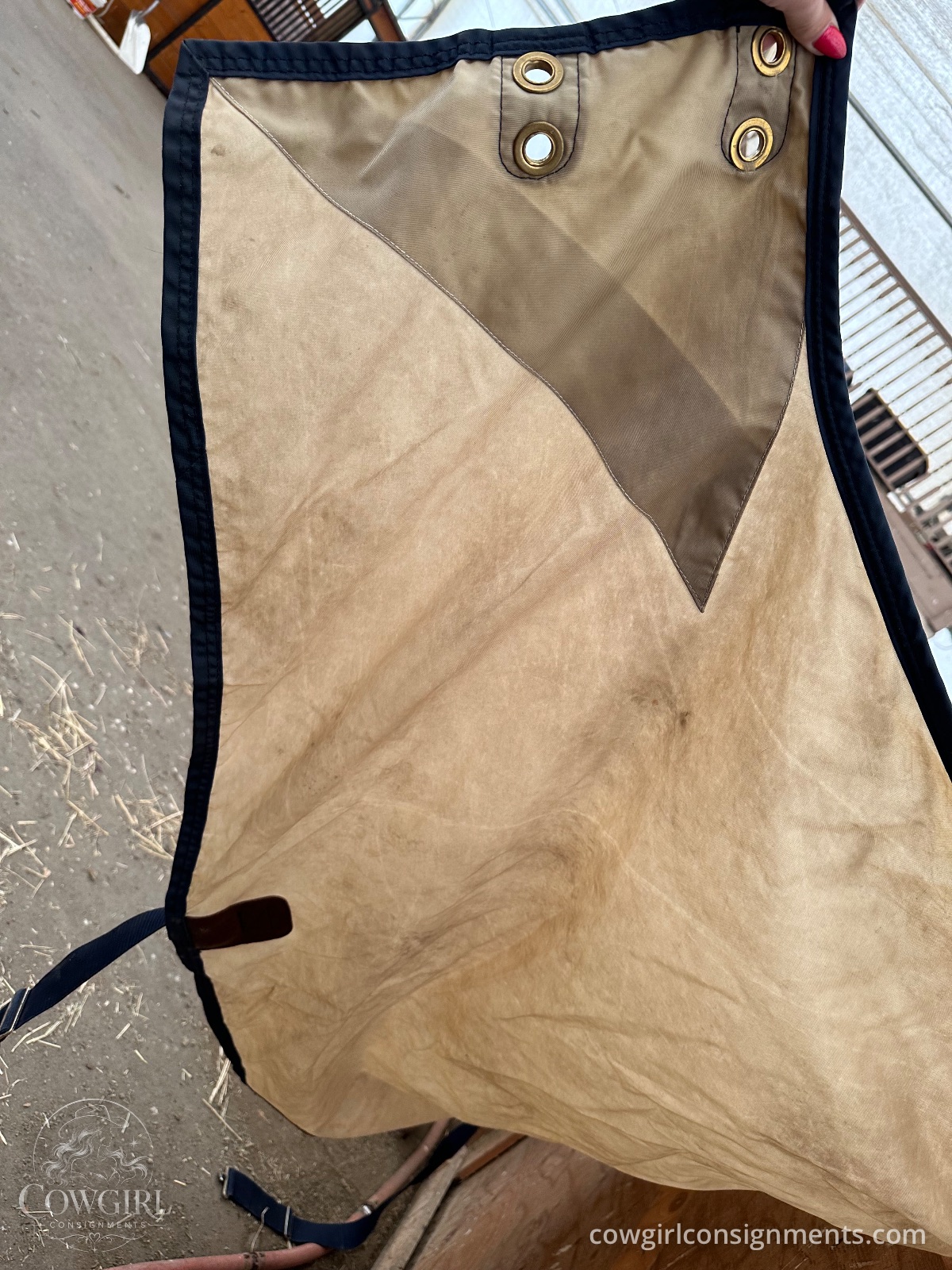 Big D Stable Sheet, Size 80, Tan/Navy, photo 2