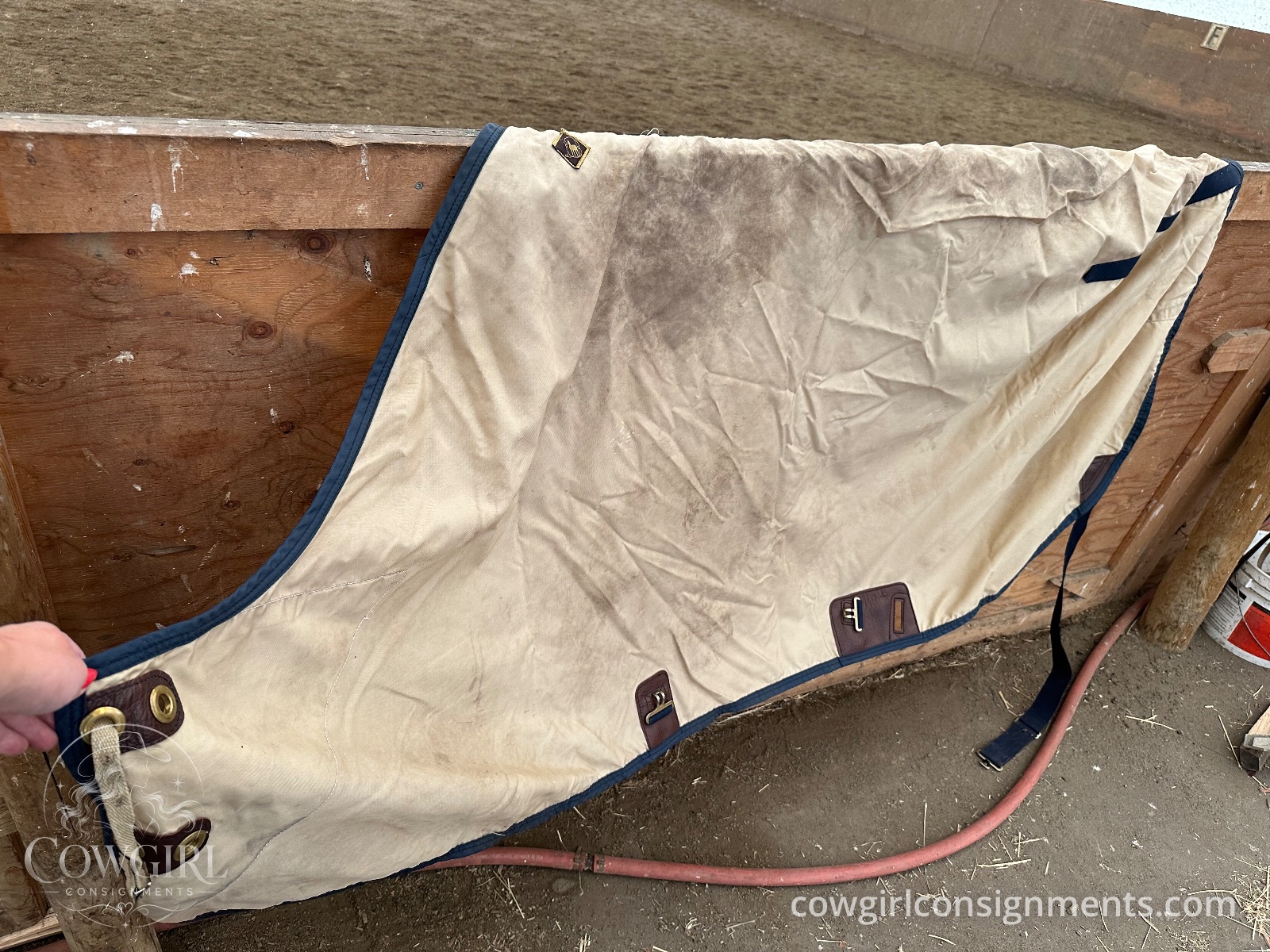 Big D Stable Sheet, Size 80, Tan/Navy, photo 4