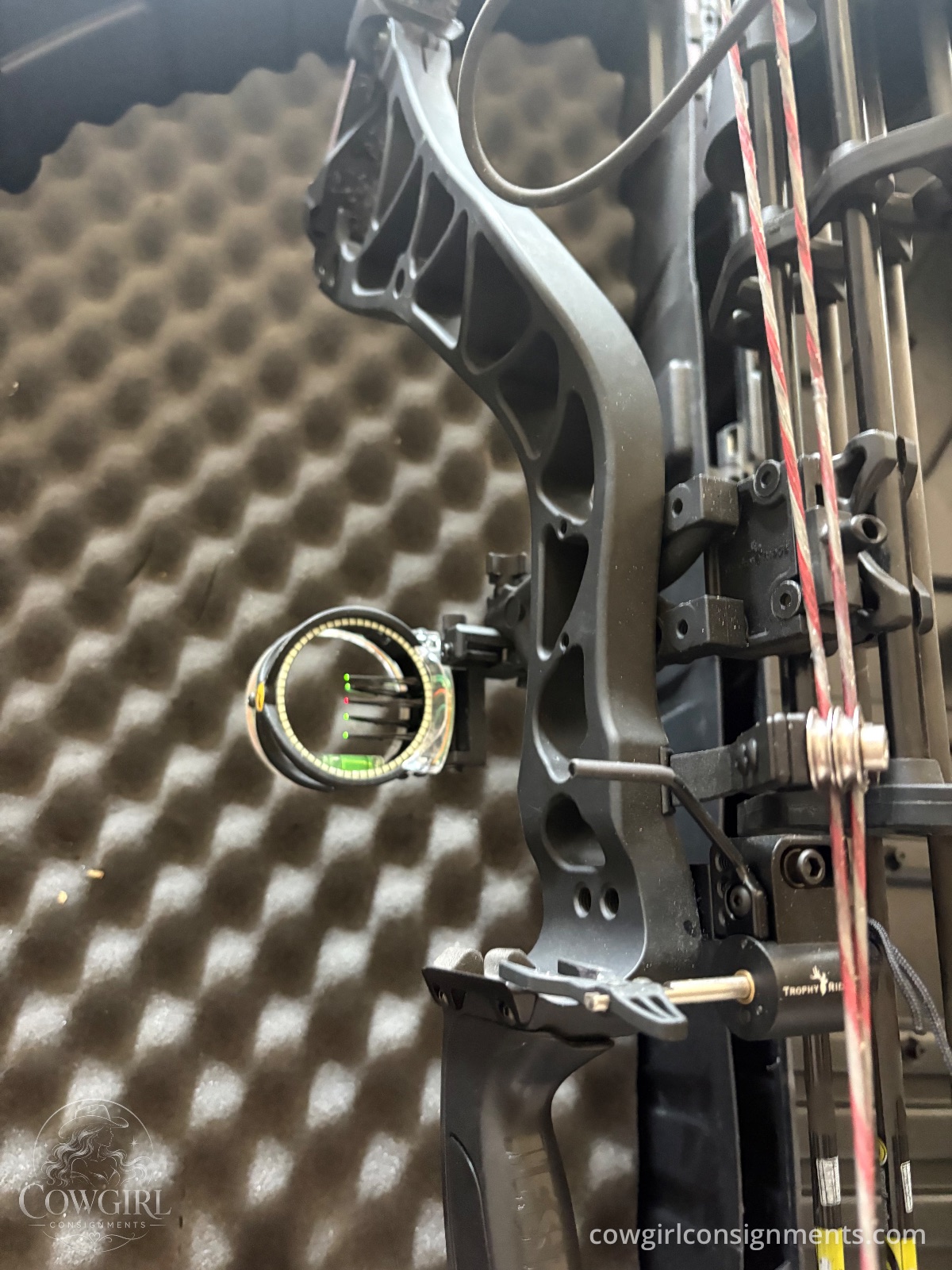 Bowtech Destroyer 350 Compound Bow Package, photo 2