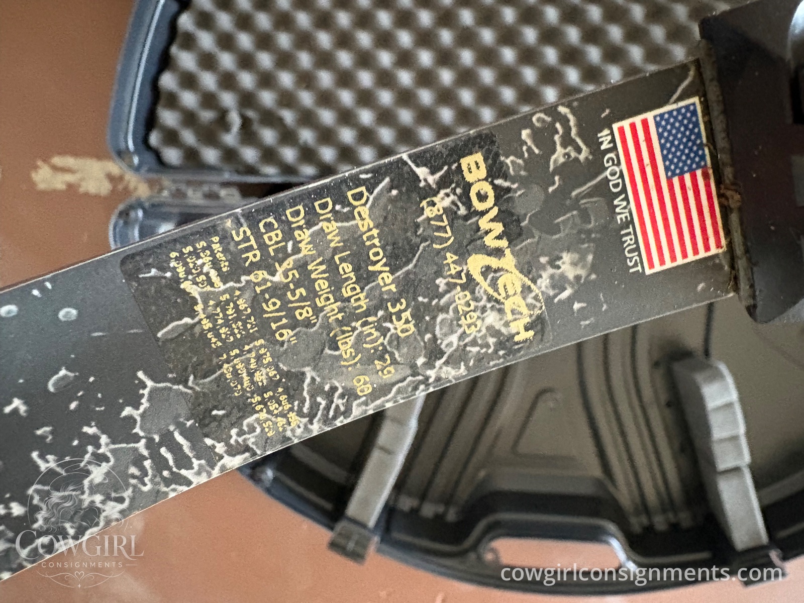 Bowtech Destroyer 350 Compound Bow Package, photo 3