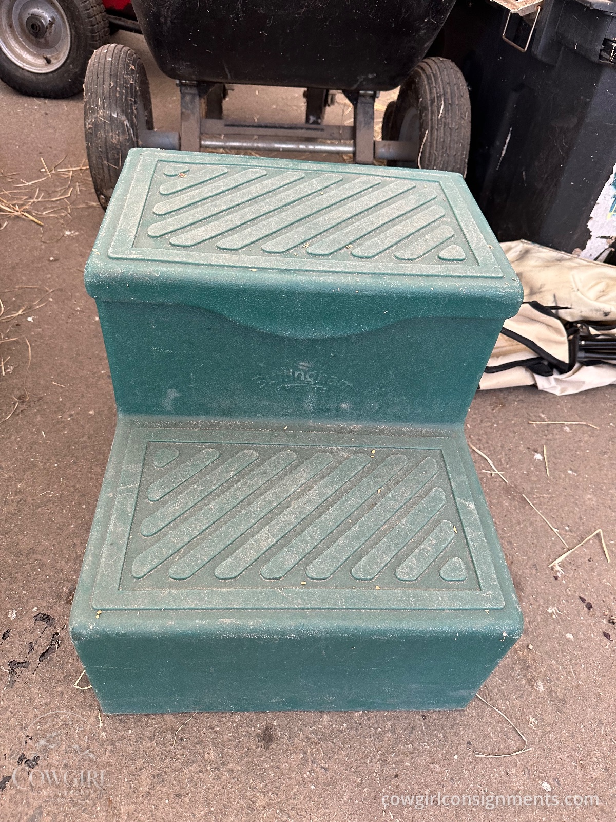 Burlingham Sports 2-Step Mounting Block, photo 2