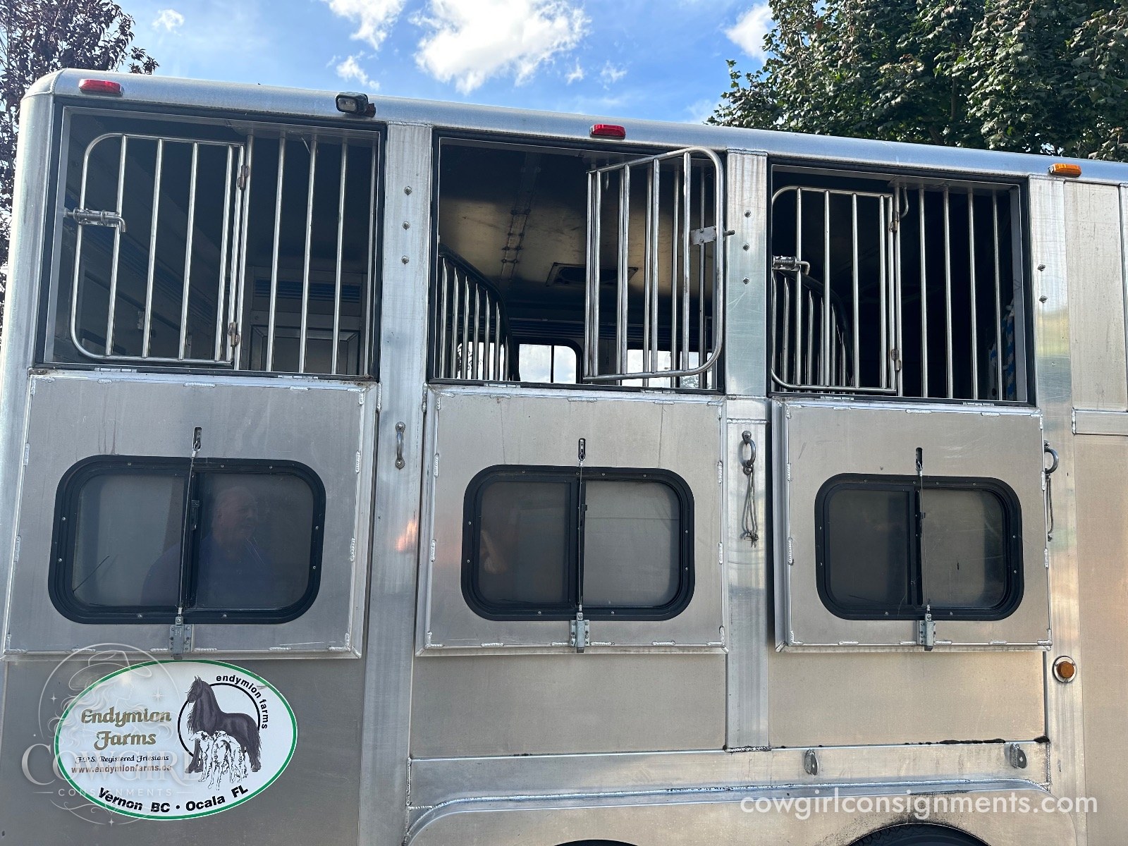 Custom, One Of A Kind, Extra-Tall Aluminum 3-Horse Trailer, photo 2