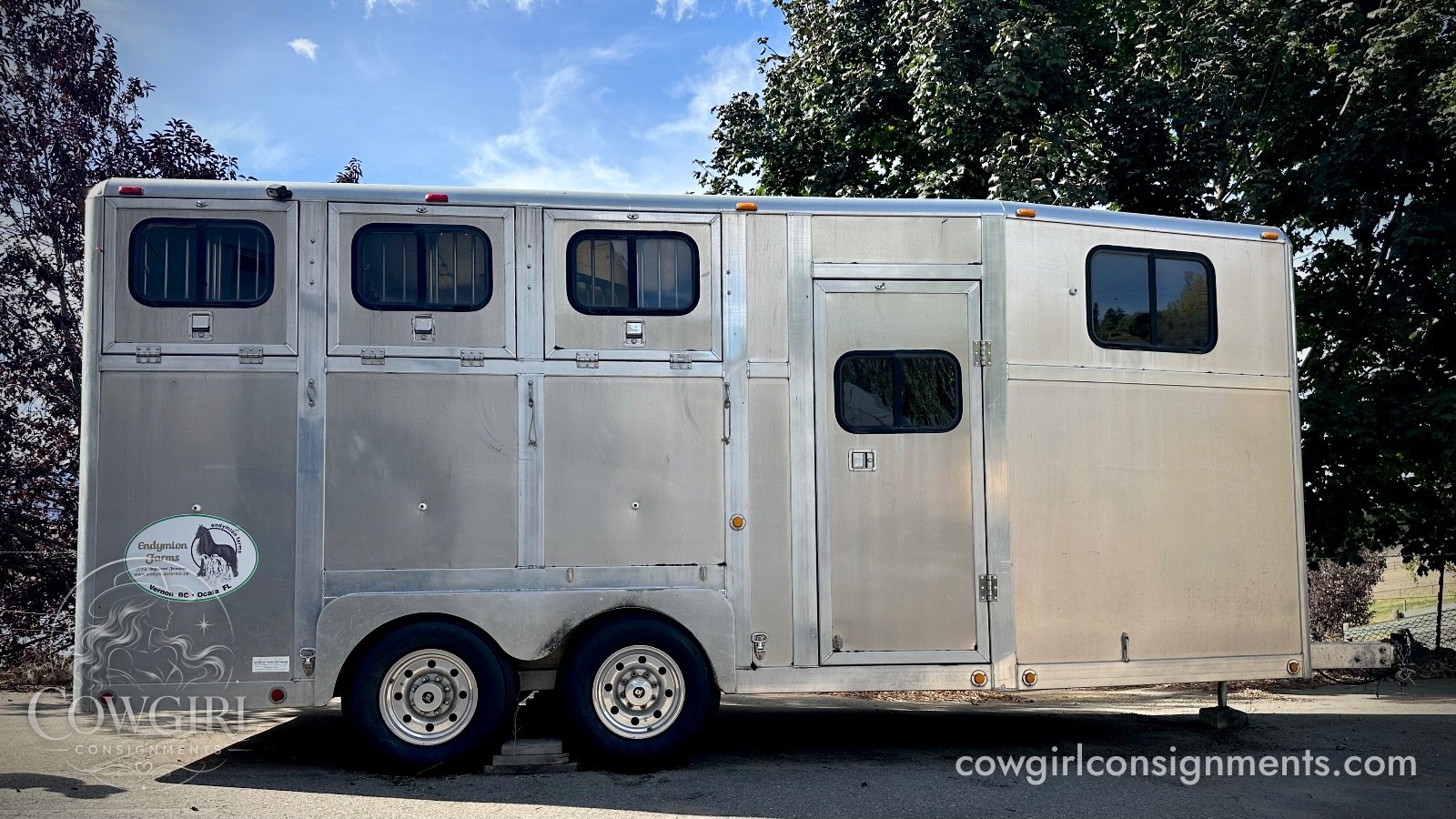 Custom, One Of A Kind, Extra-Tall Aluminum 3-Horse Trailer, photo 3