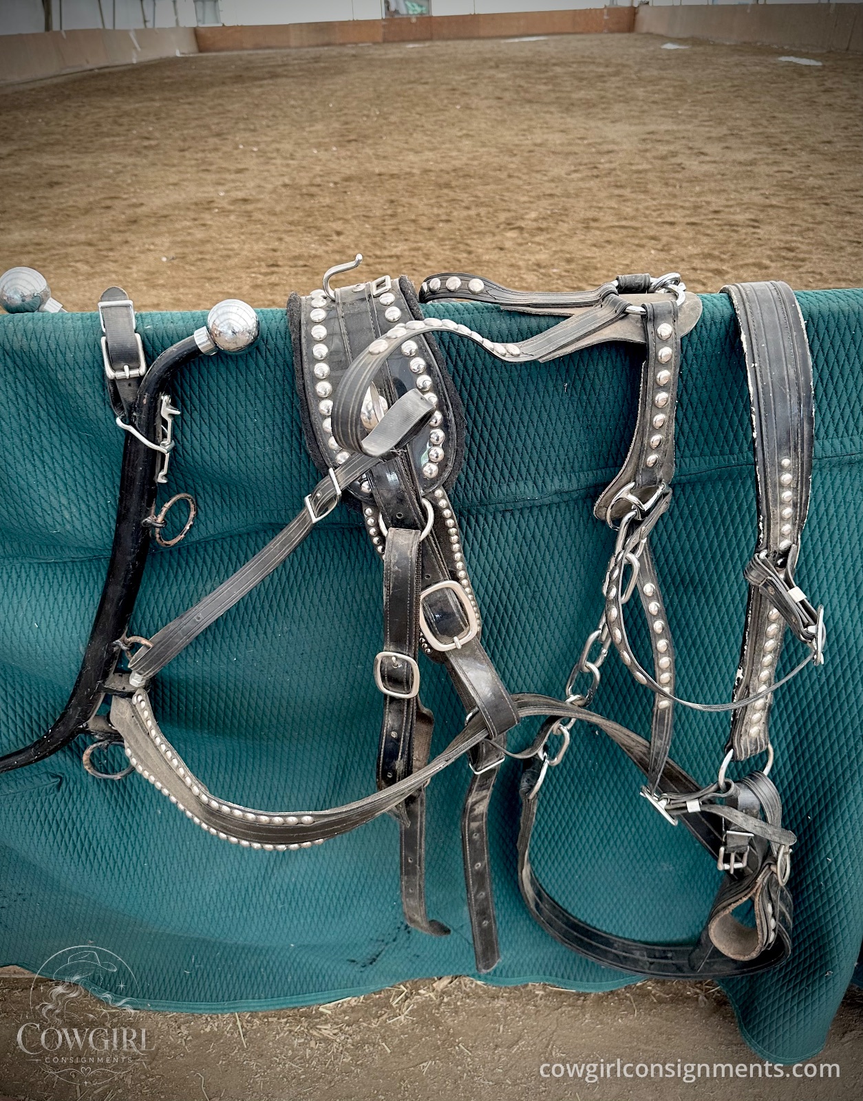 Deluxe Spotted Single Driving Harness