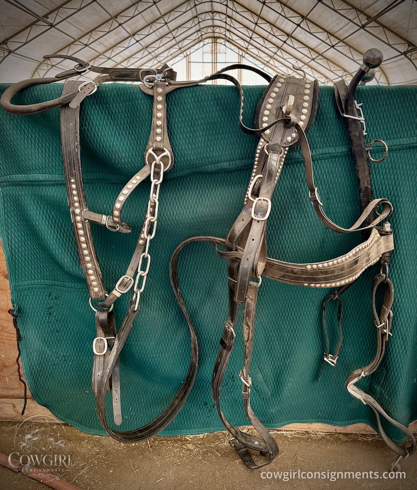 Deluxe Spotted Single Driving Harness, photo 2