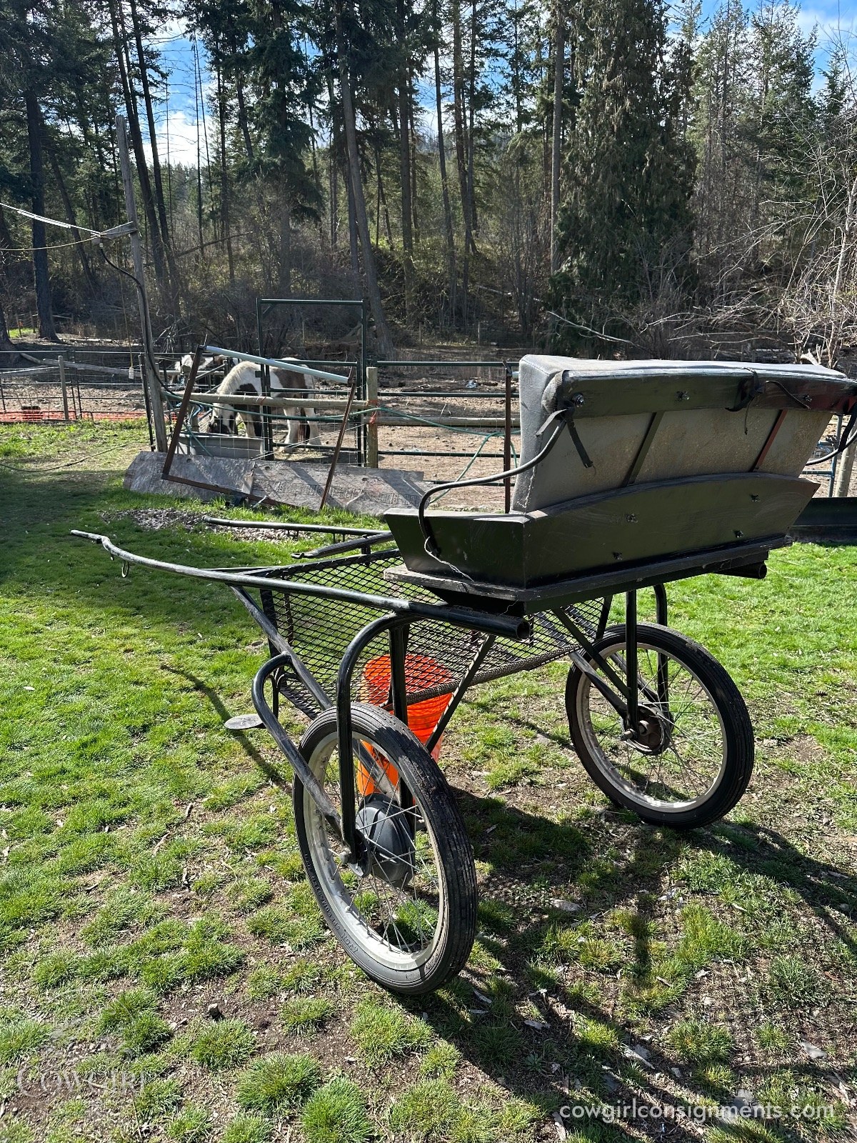 Easy Entry Horse Cart, Cob Size