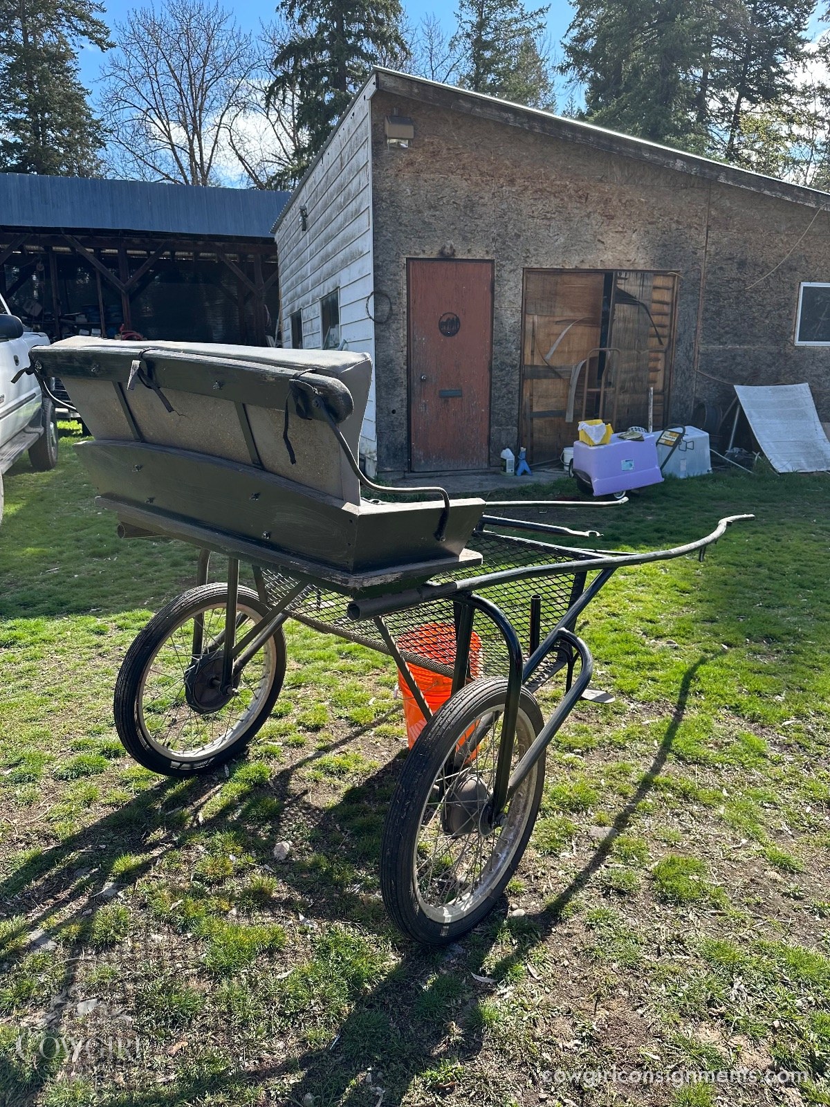 Easy Entry Horse Cart, Cob Size, photo 2
