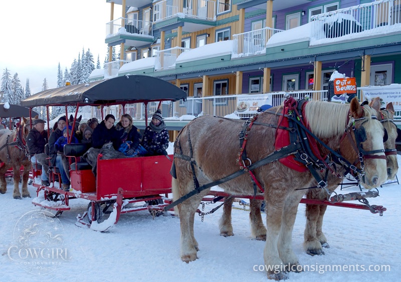 Heavy Duty Horse-Drawn Sleigh With Hydraulic Wheels, photo 3