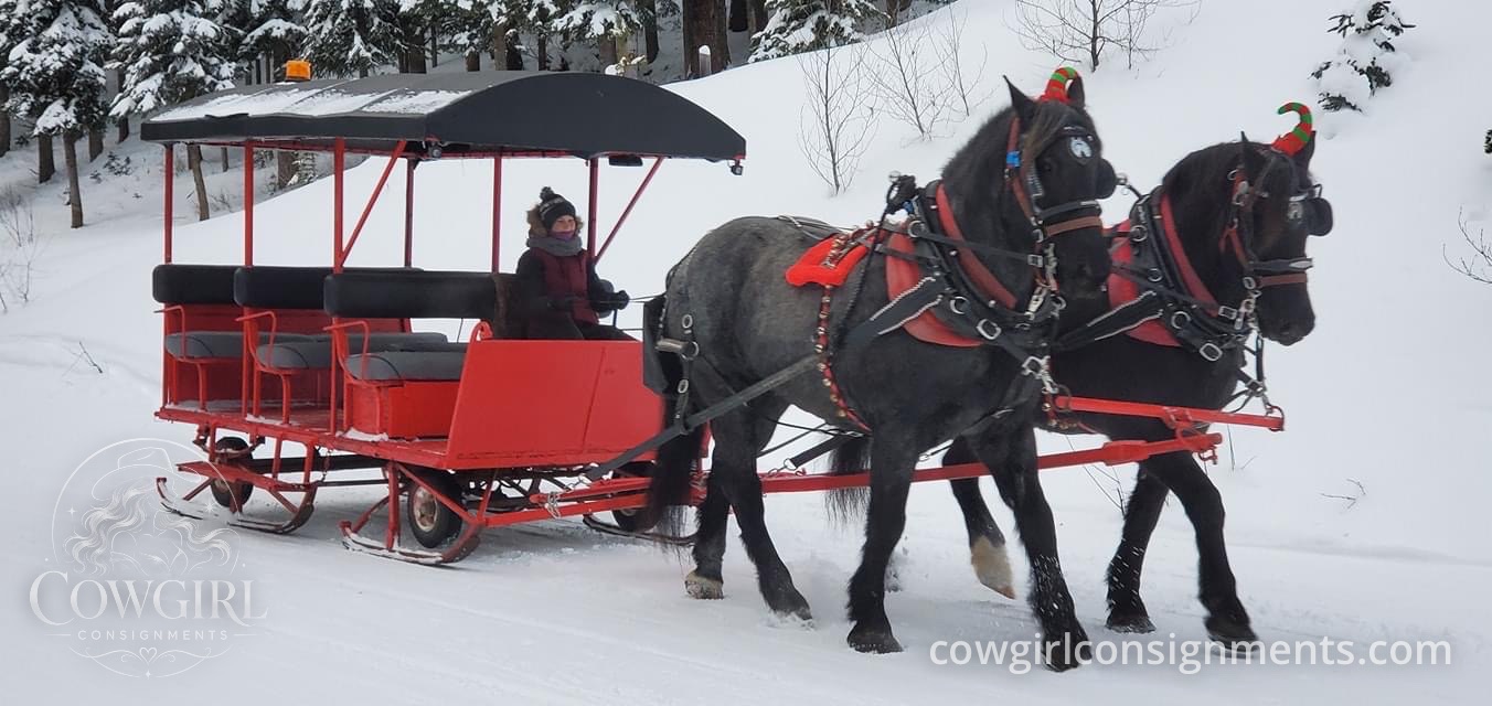 Heavy Duty Horse-Drawn Sleigh With Hydraulic Wheels, photo 4