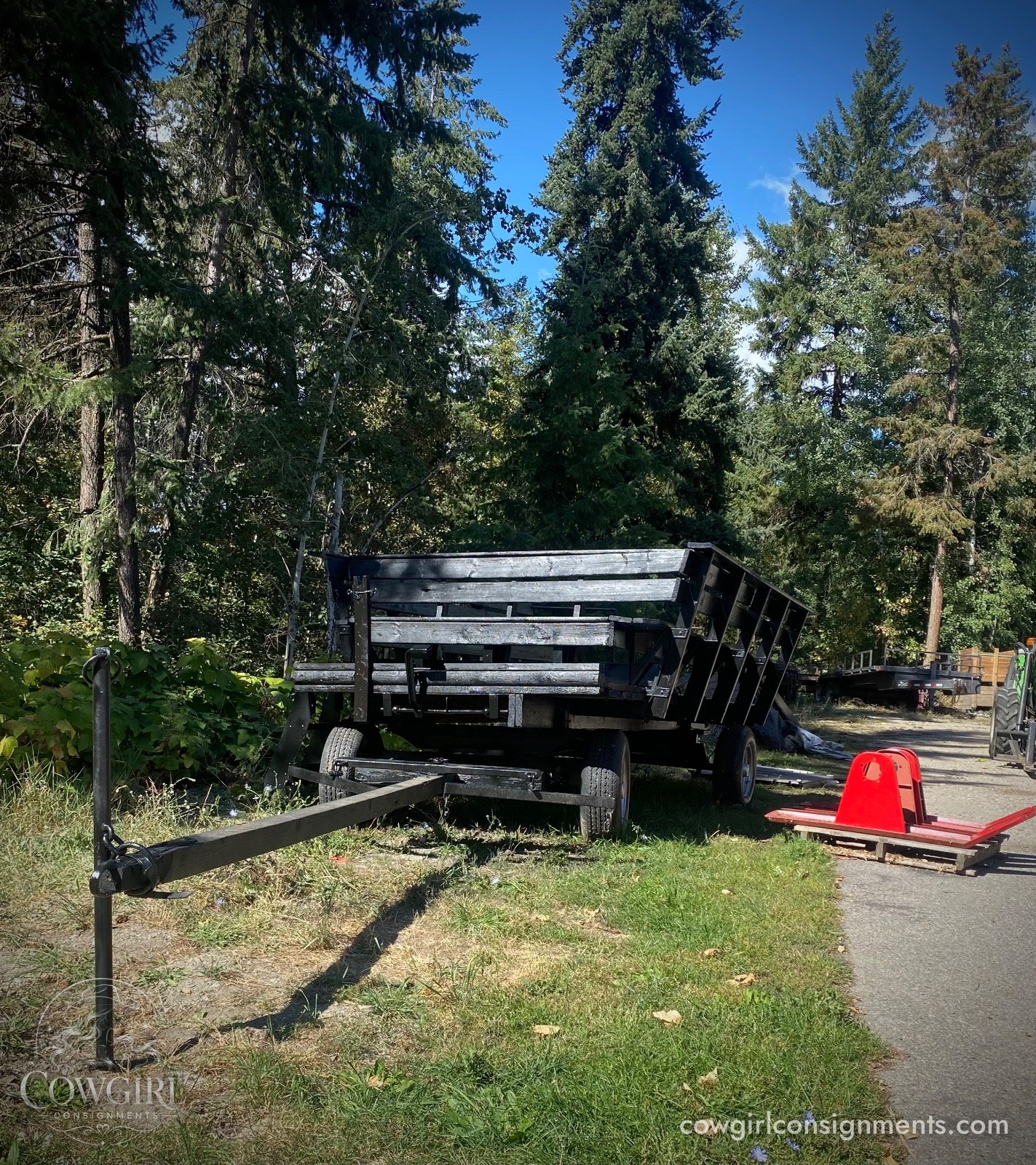 Horse Drawn Wagon With Sleigh Conversion And Wheelchair Ramp, photo 2