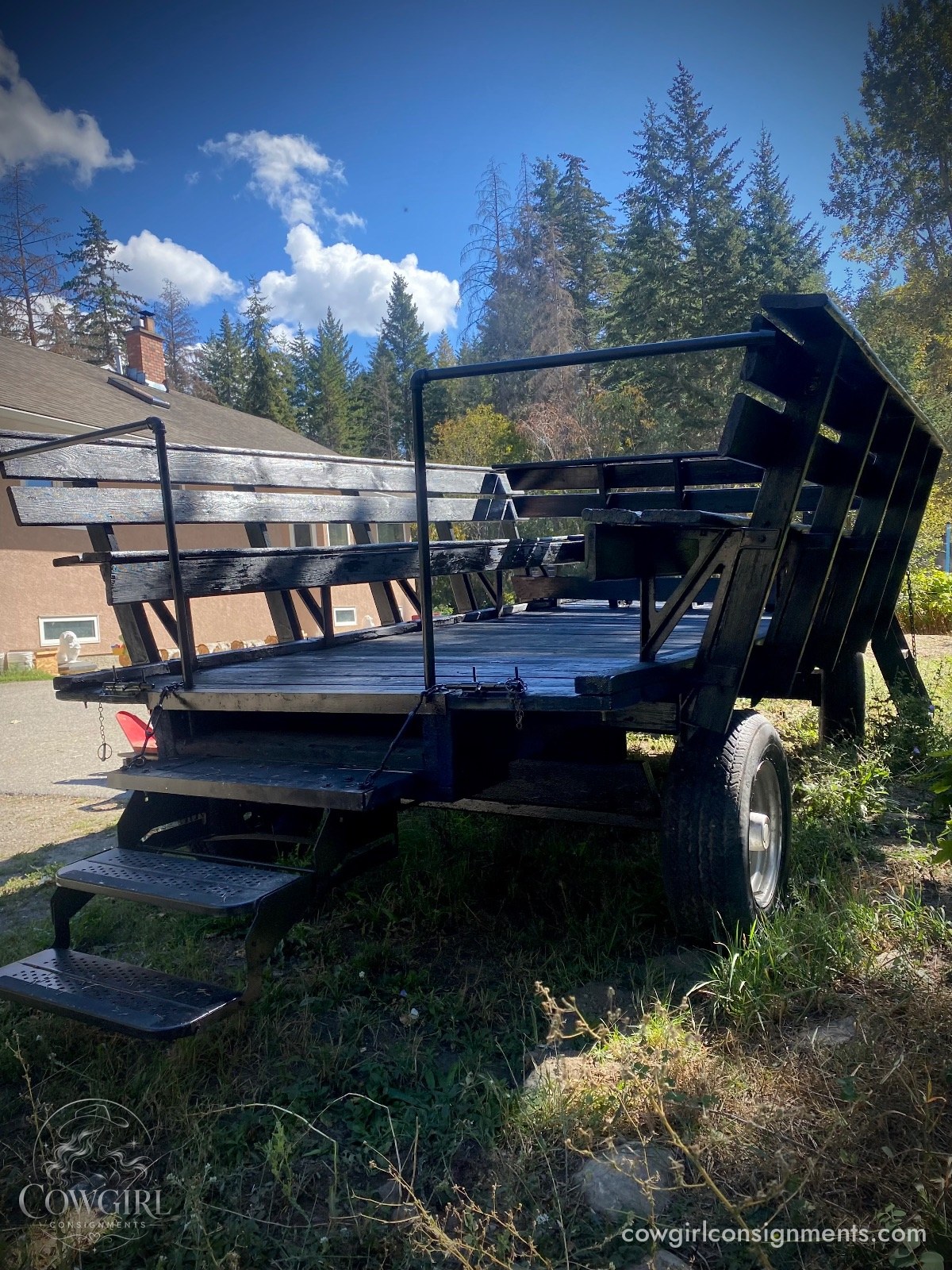 Horse Drawn Wagon With Sleigh Conversion And Wheelchair Ramp, photo 5