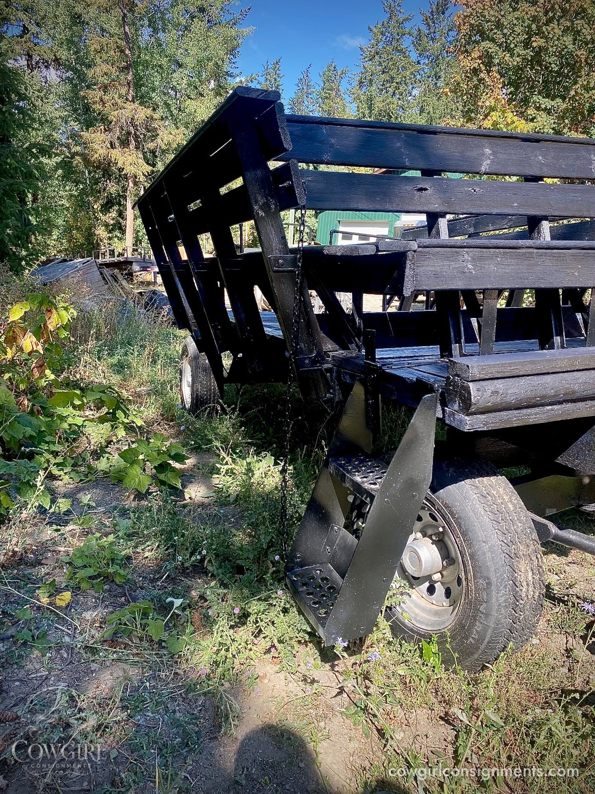 Horse Drawn Wagon With Sleigh Conversion And Wheelchair Ramp, photo 7