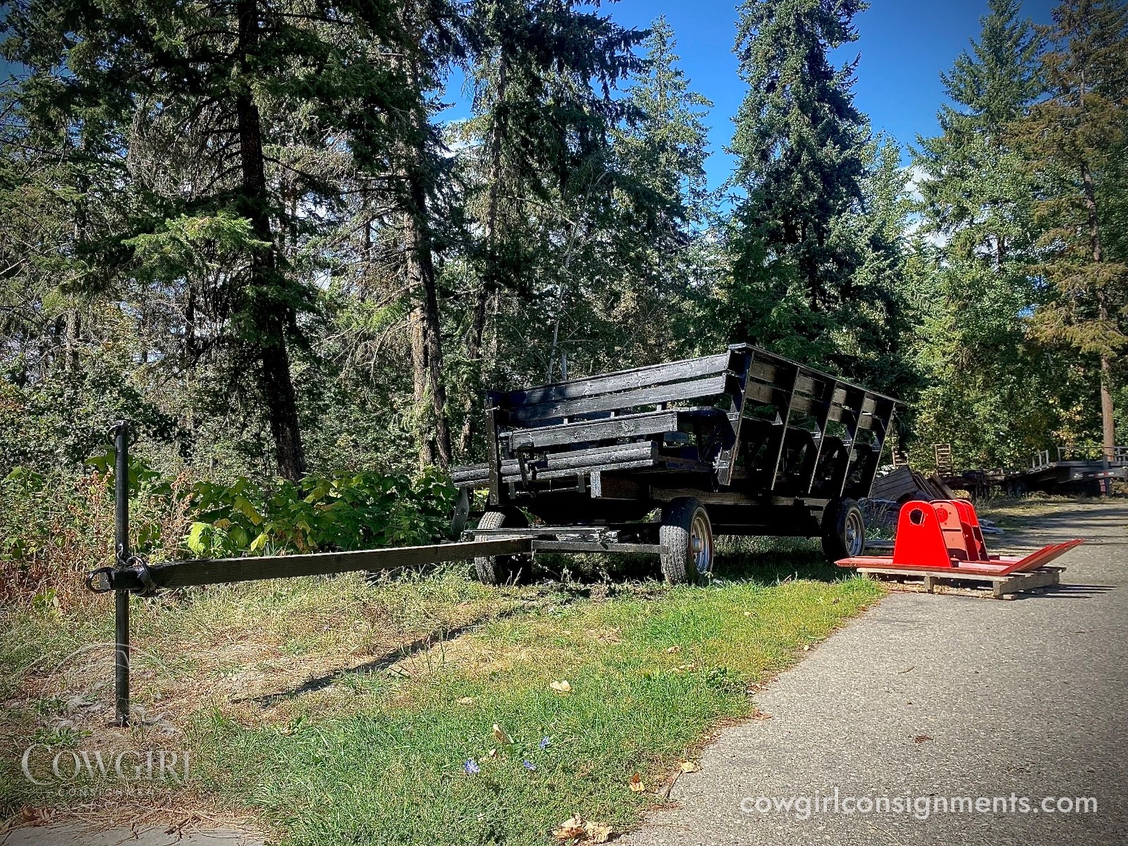 Horse Drawn Wagon With Sleigh Conversion And Wheelchair Ramp, photo 10