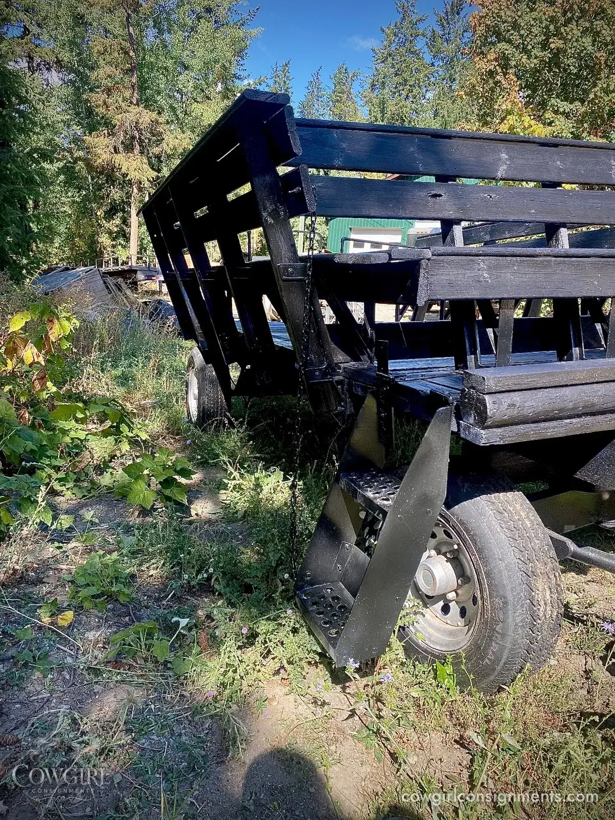 Horse Drawn Wagon With Sleigh Conversion And Wheelchair Ramp, photo 16