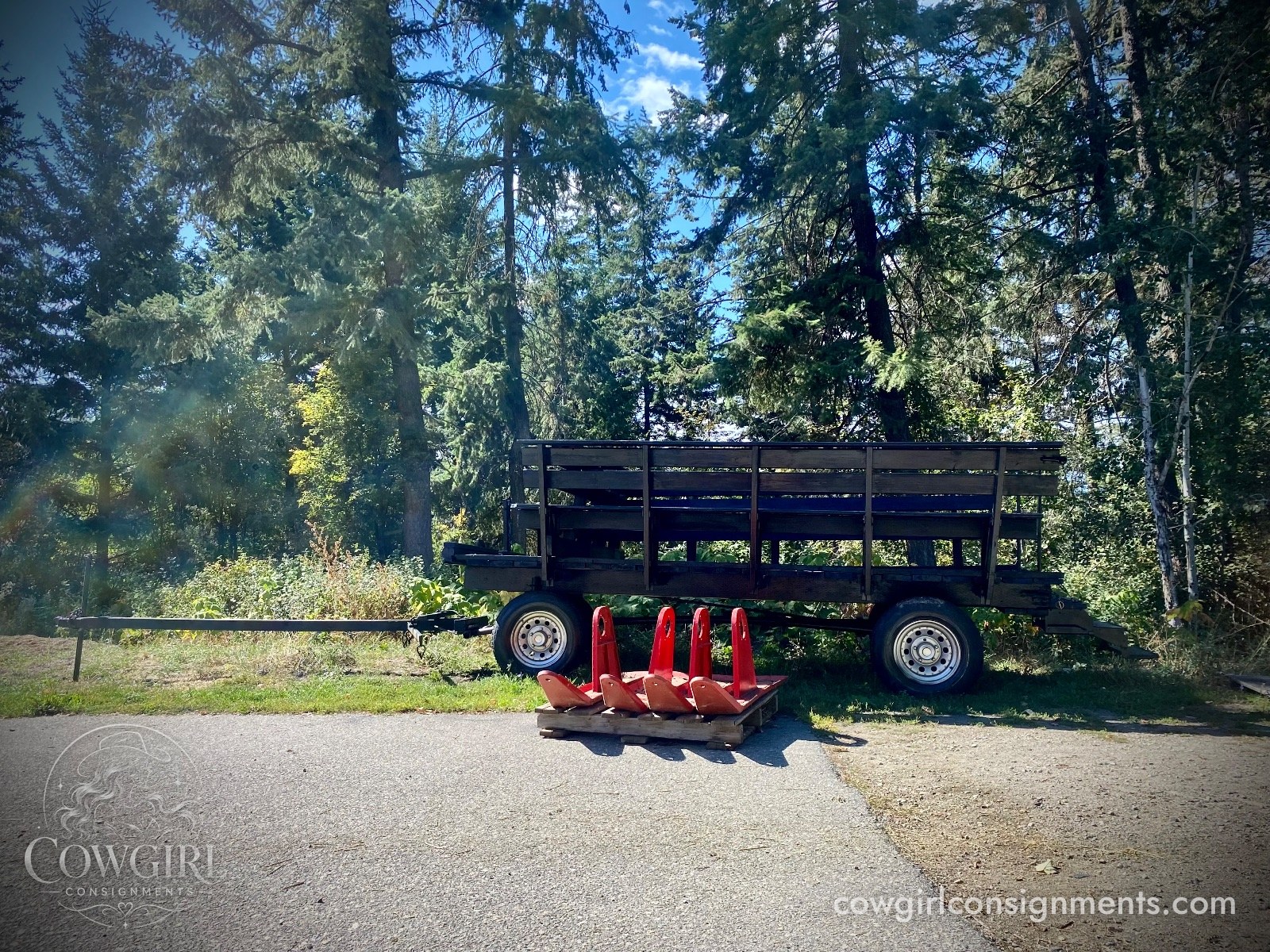 Horse Drawn Wagon With Sleigh Conversion And Wheelchair Ramp