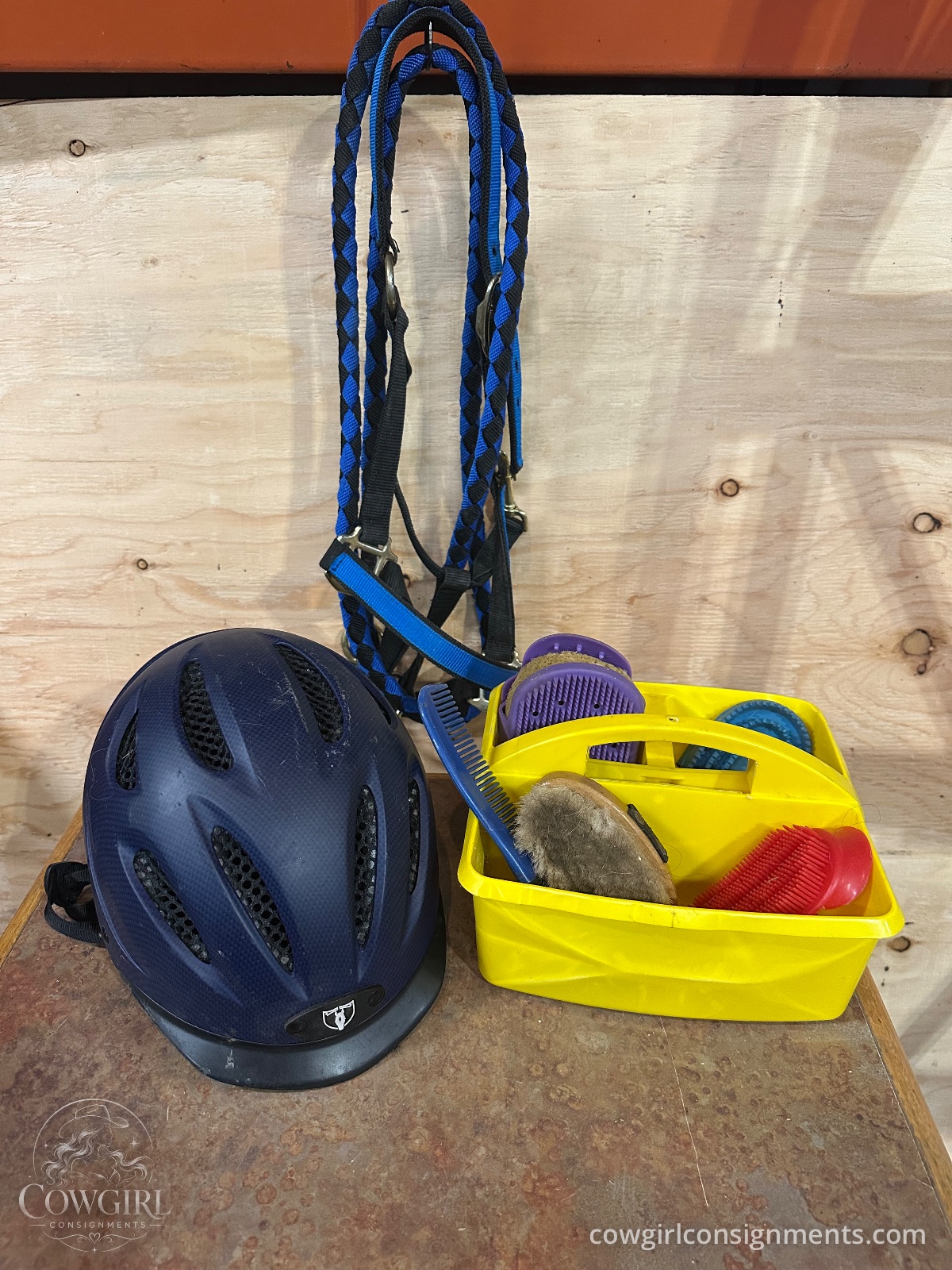 Kids' Starter Bundle: The “I Got A New Horse” Package