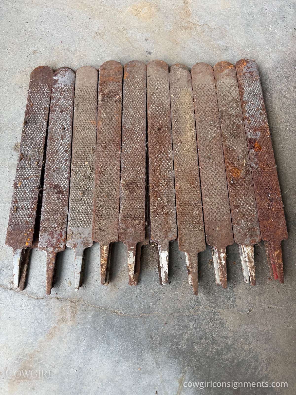 Lot Of 27 Used Farrier Hoof Rasps