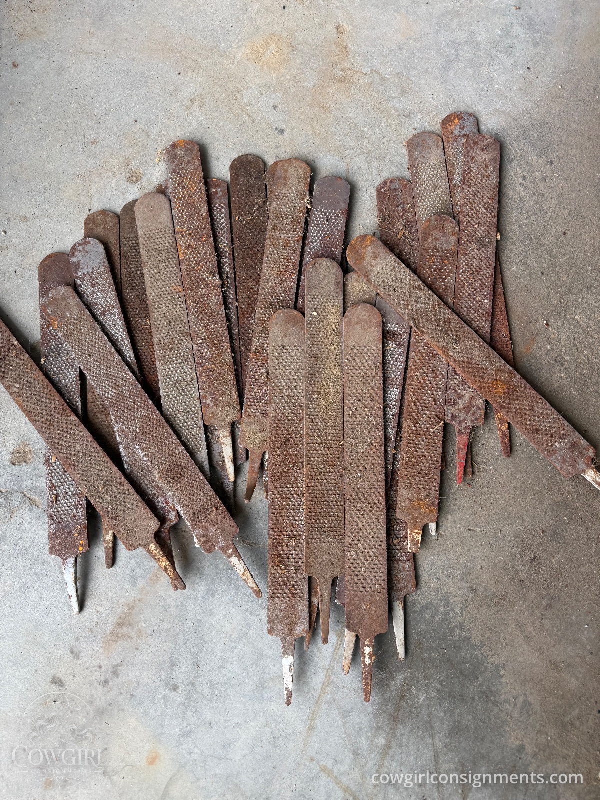 Lot Of 27 Used Farrier Hoof Rasps, photo 2
