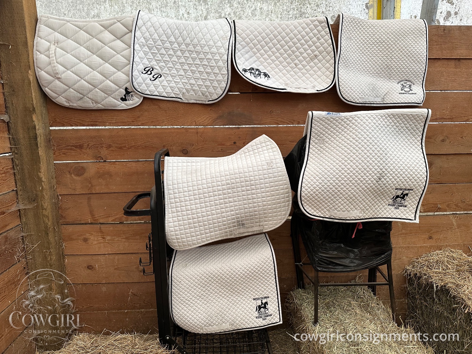 Lot Of 7 White English Show Pads, With Storage Bag, photo 2