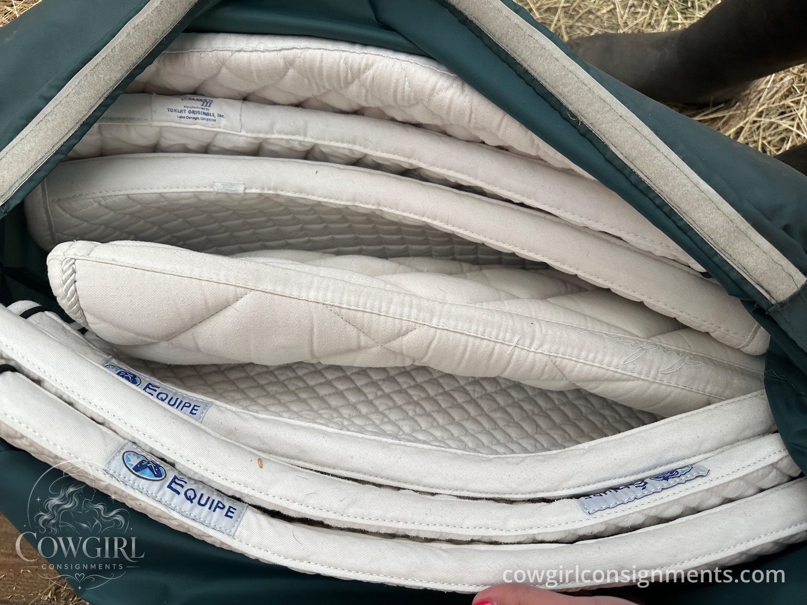 Lot Of 7 White English Show Pads, With Storage Bag, photo 3