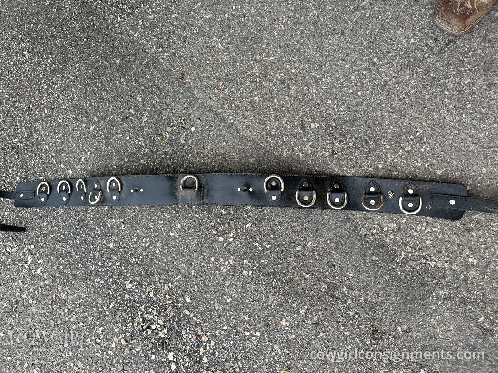 Multi-Ring Leather Surcingle, photo 2