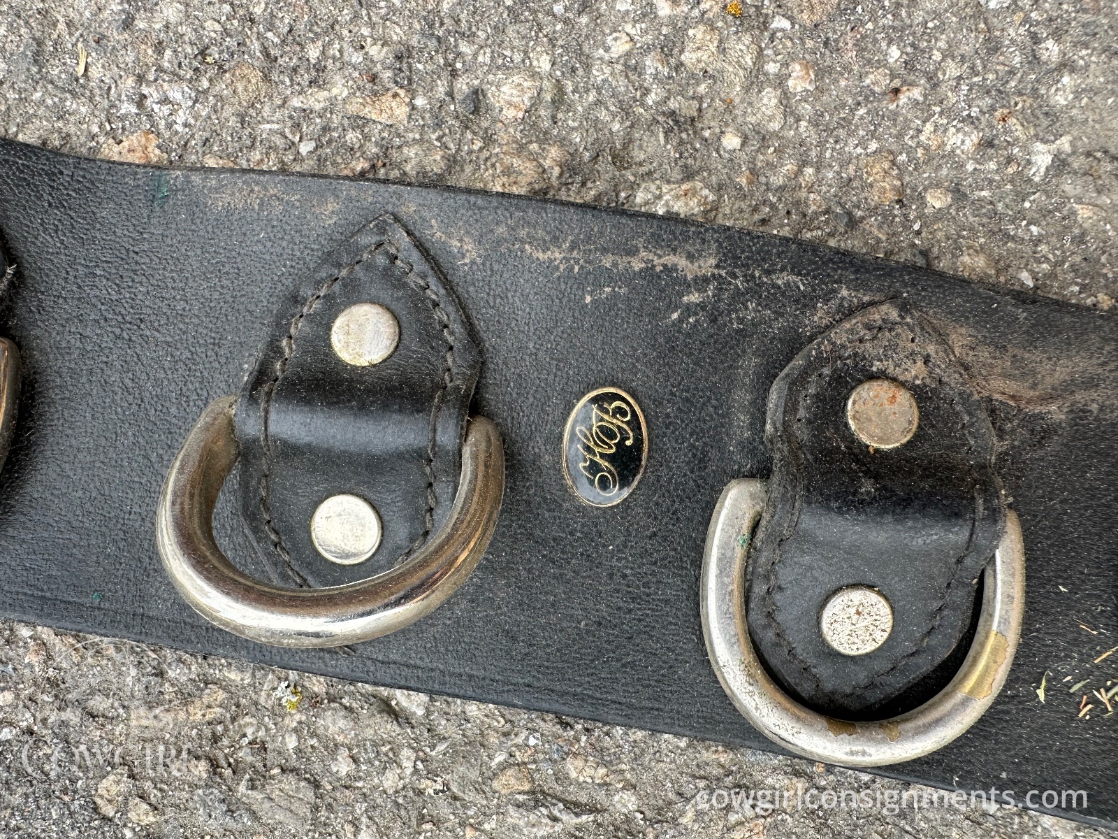 Multi-Ring Leather Surcingle, photo 3