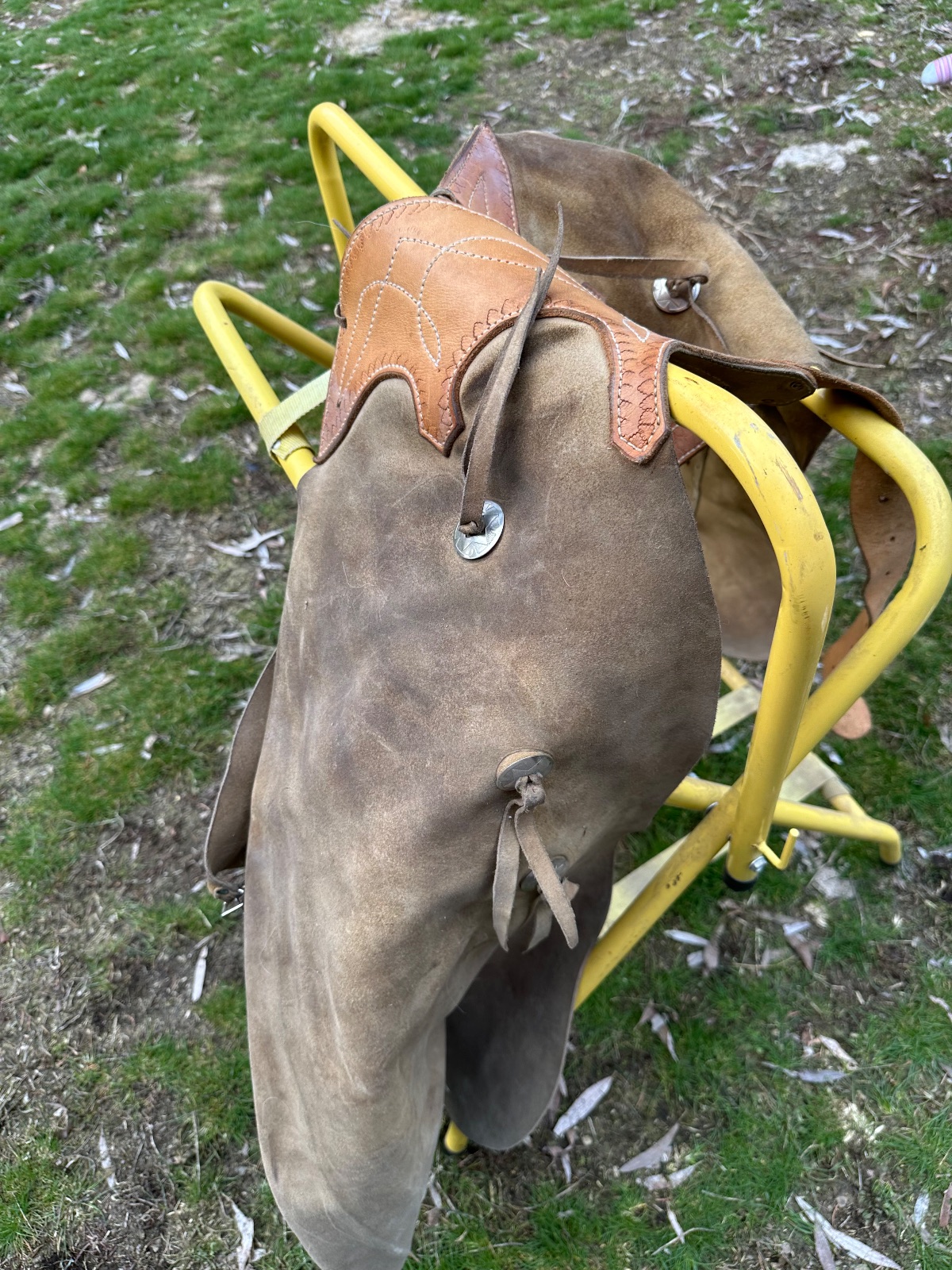 Roughout Suede Chaps, photo 2