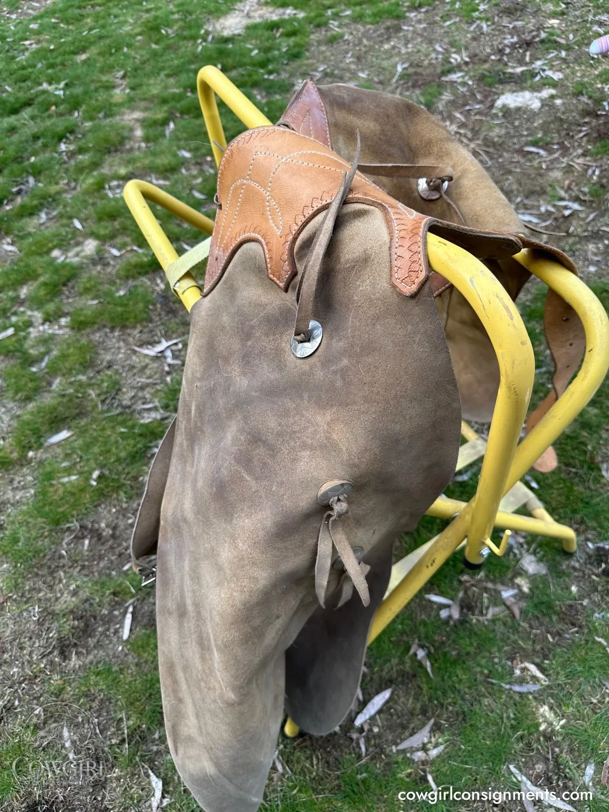 Roughout Suede Chaps, photo 2