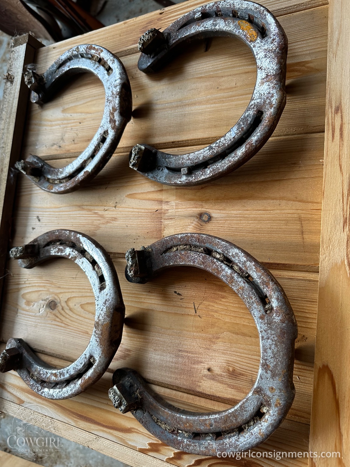 Set Of 4 Draft Horse Winter Shoes With Borium, 7.5" X 7.5", photo 3
