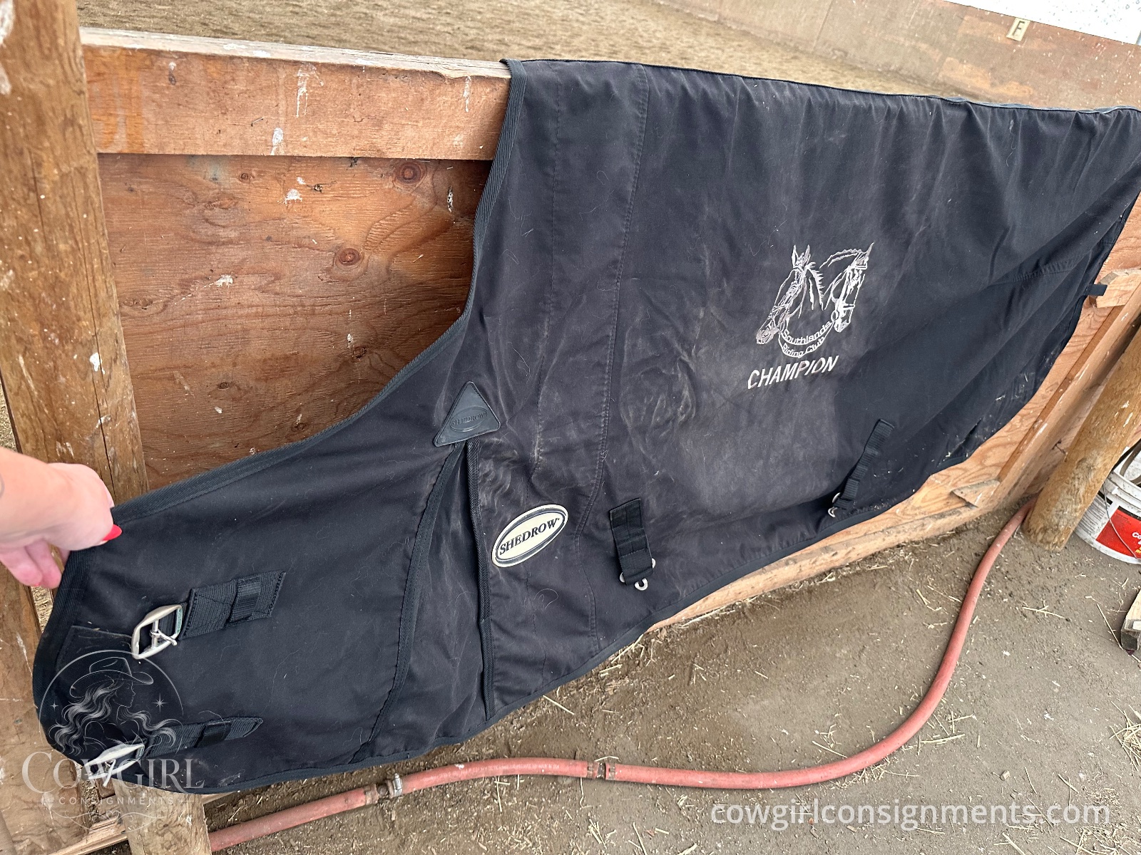 Shedrow Stable Blanket, 78", Black, photo 4
