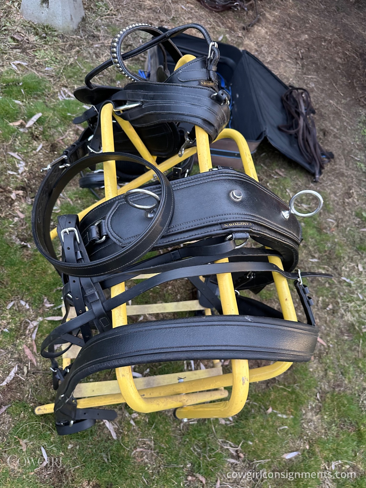 Single Driving Harness, Cob Size