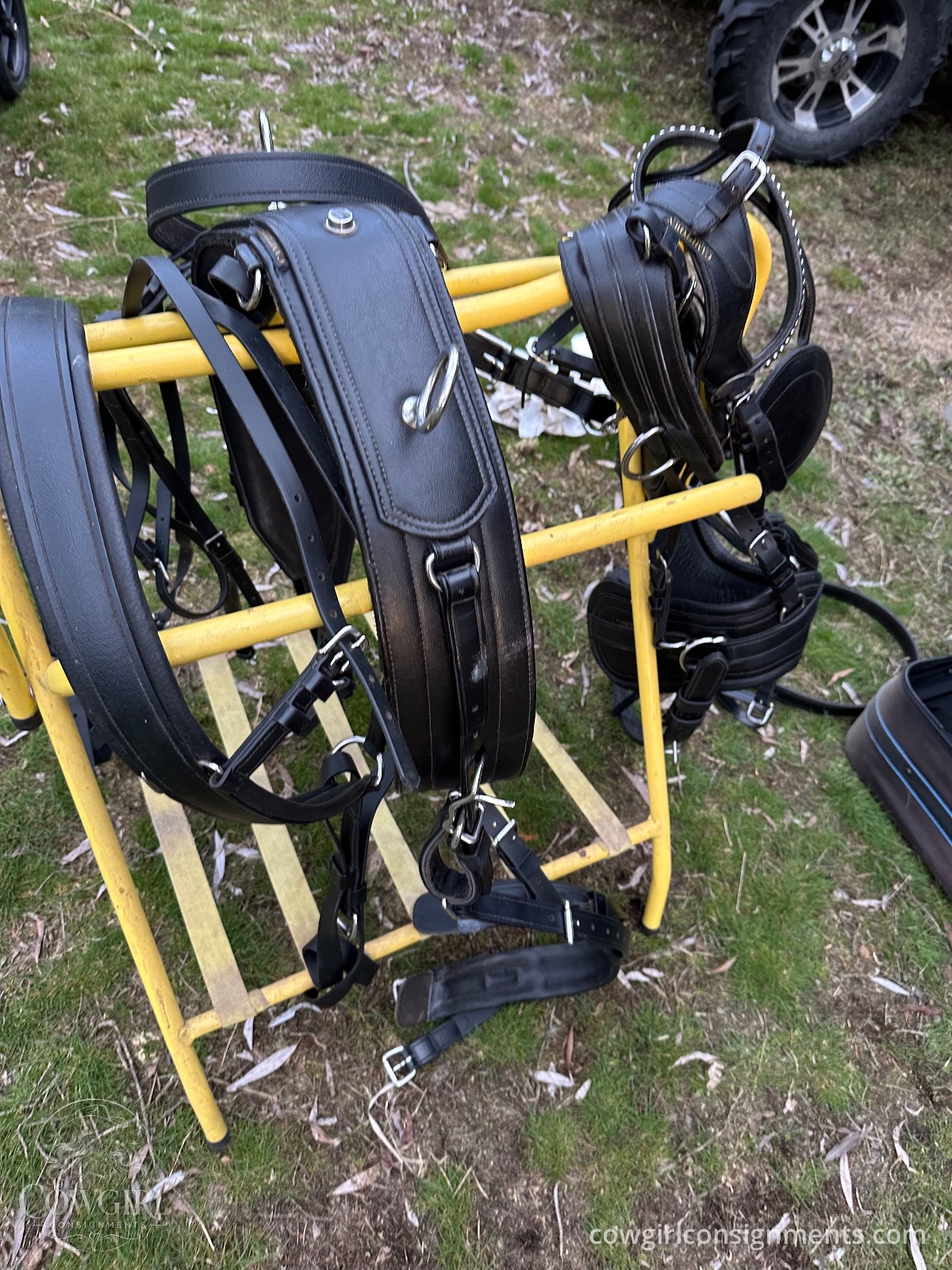 Single Driving Harness, Cob Size, photo 2