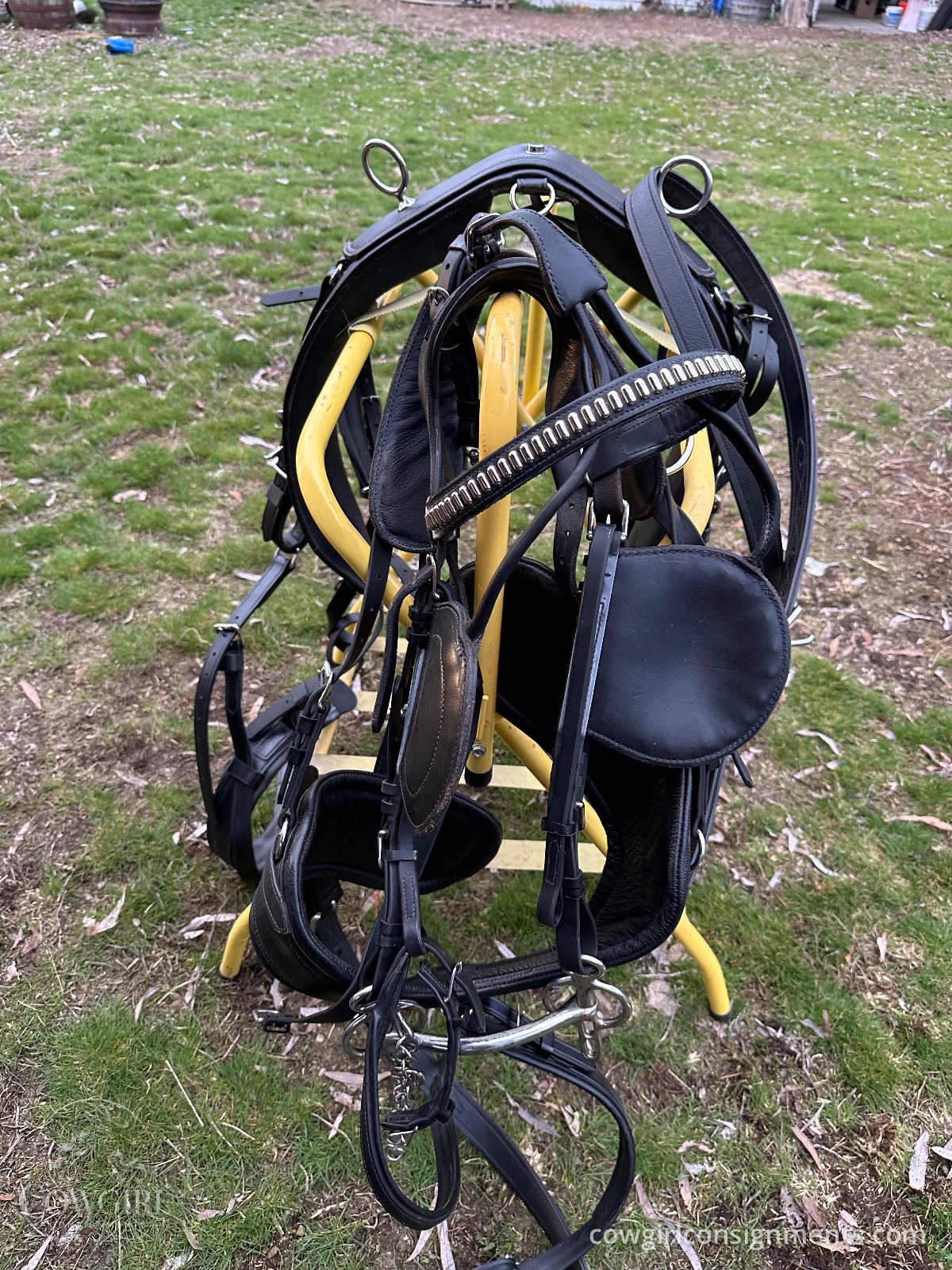 Single Driving Harness, Cob Size, photo 3