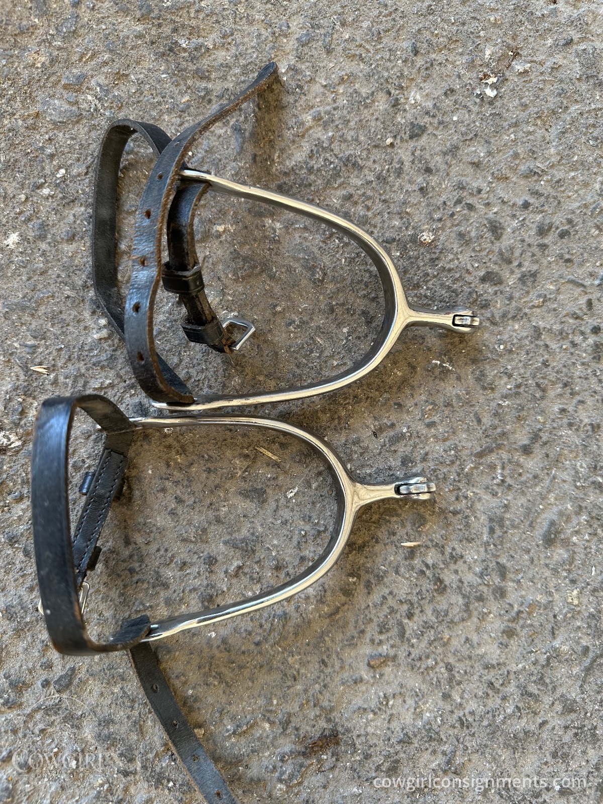 Stainless English Spurs With Roller Ends And Leather Straps