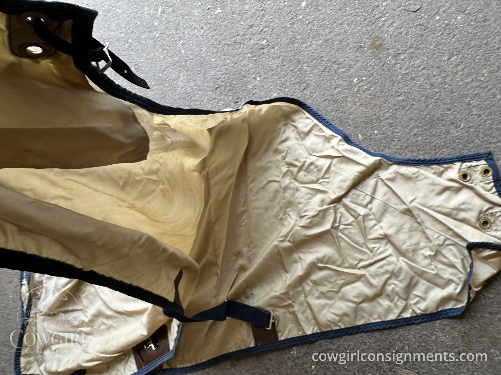 Tan Stable Blanket With Navy Trim 80”, photo 3