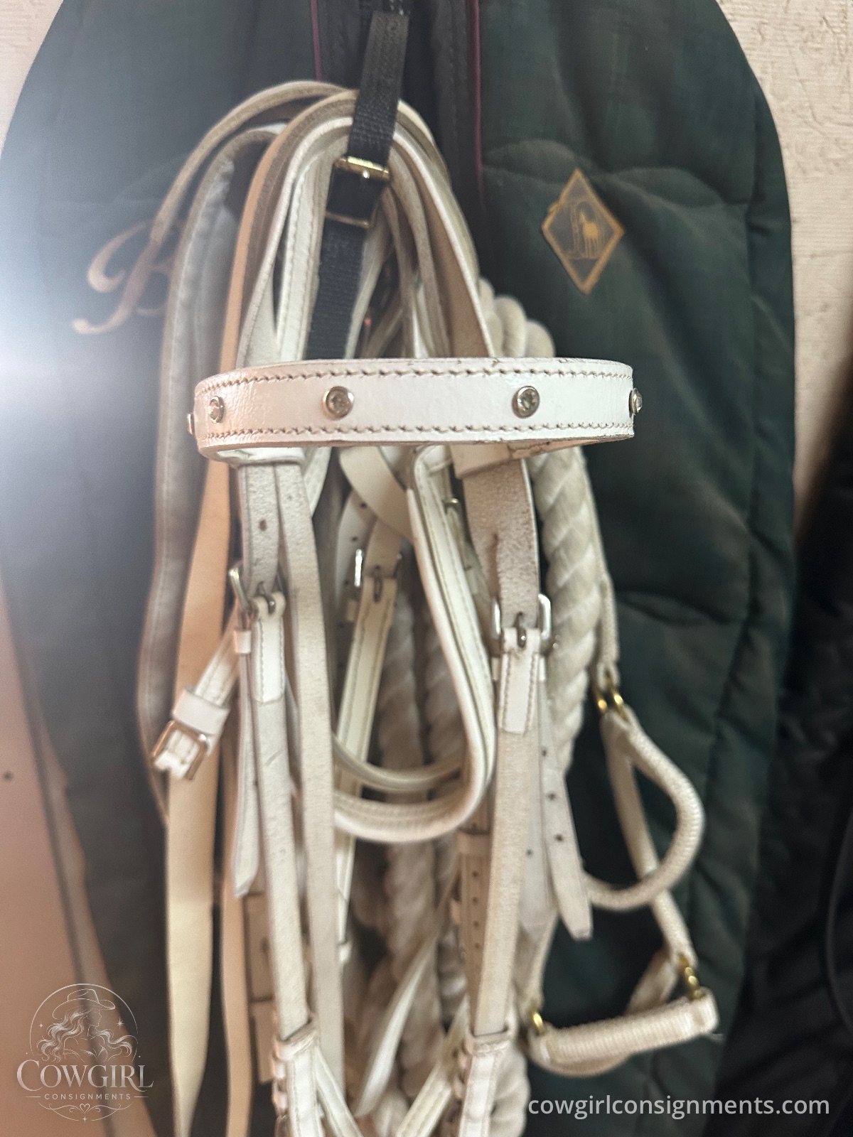White Show Halter & Bridle Package, photo 2
