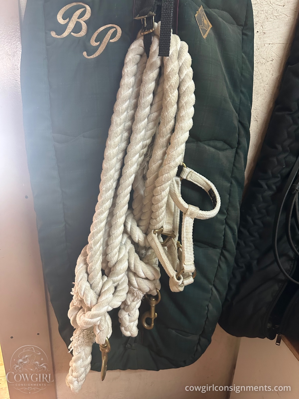 White Show Halter & Bridle Package, photo 3