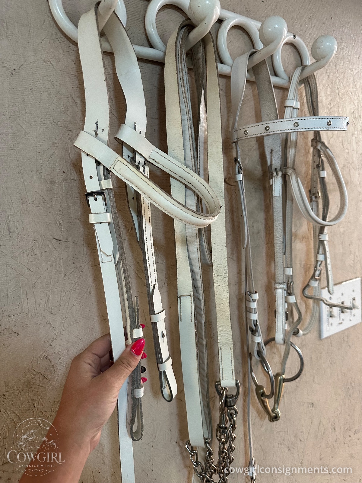 White Show Halter & Bridle Package, photo 5